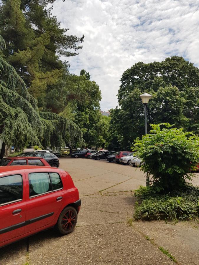 Appartamento Apartman Park, Tc Stadion Vozdovac Belgrado Esterno foto